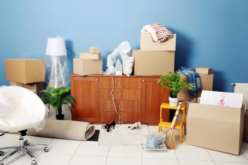 Local Moving in E8 Area by Manwithvan